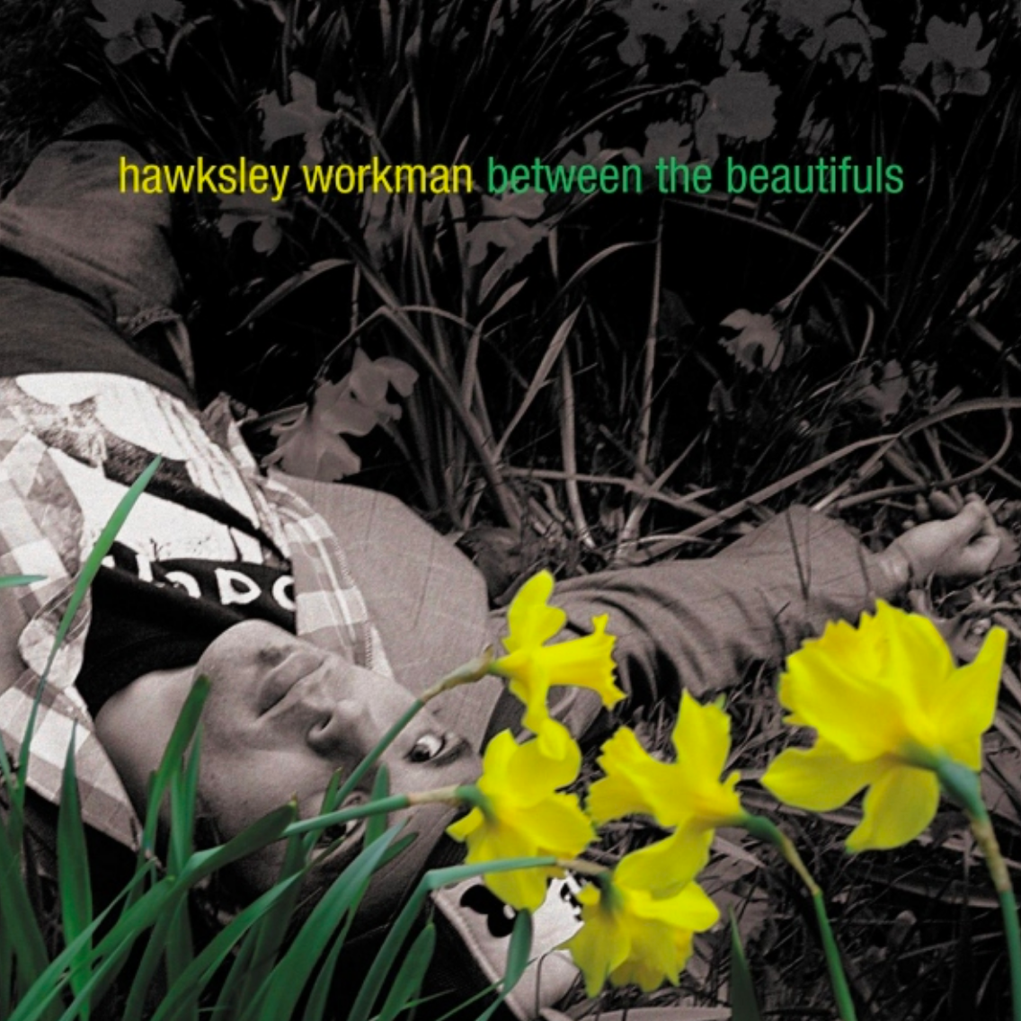 Hawksley Workman - Between The Beautifuls