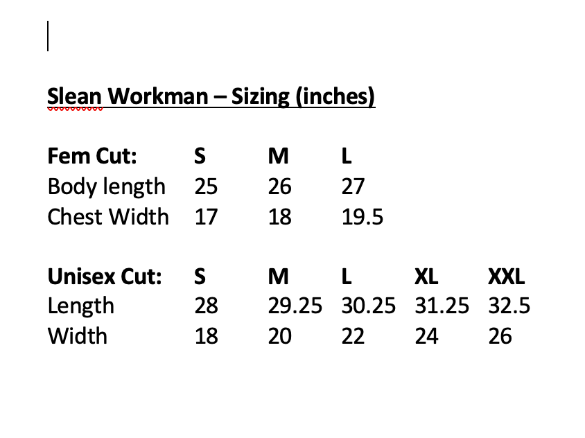 Slean Workman Tour T-Shirt (unisex & fem cut)